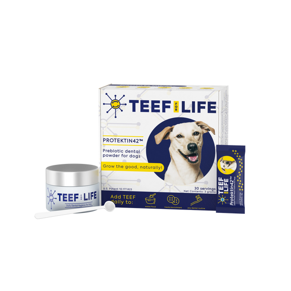 Teef for Life Dental Kits - Dogs