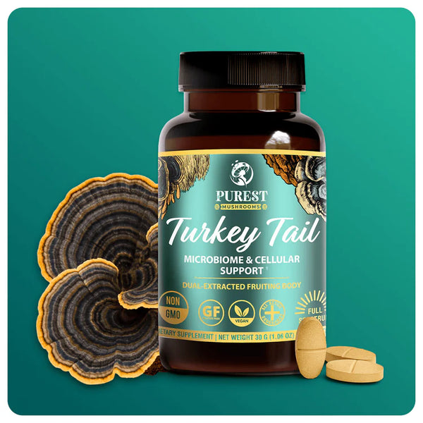 Turkey Tail Mushroom Extract Tablets